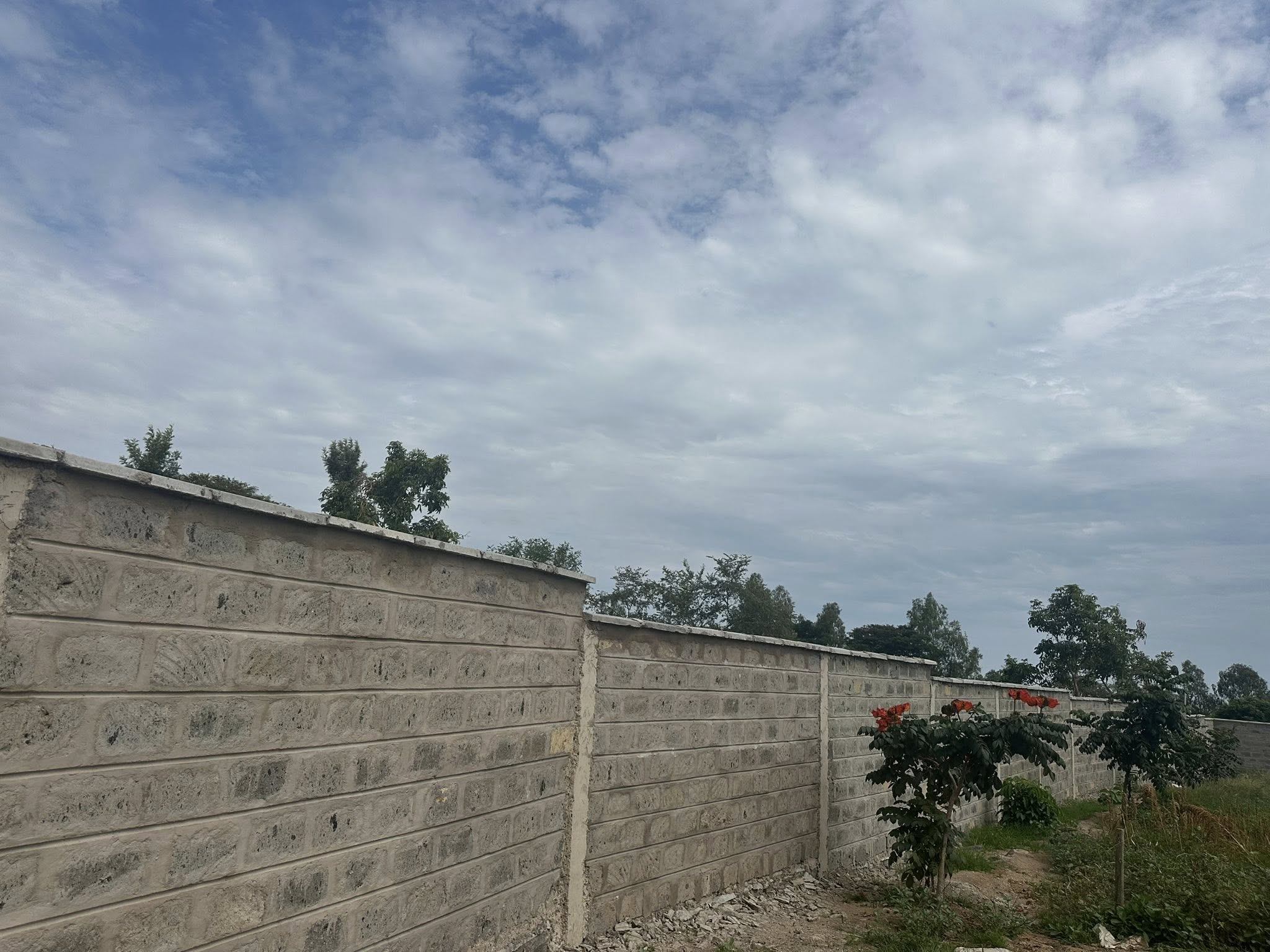 A Wall That Changed Everything